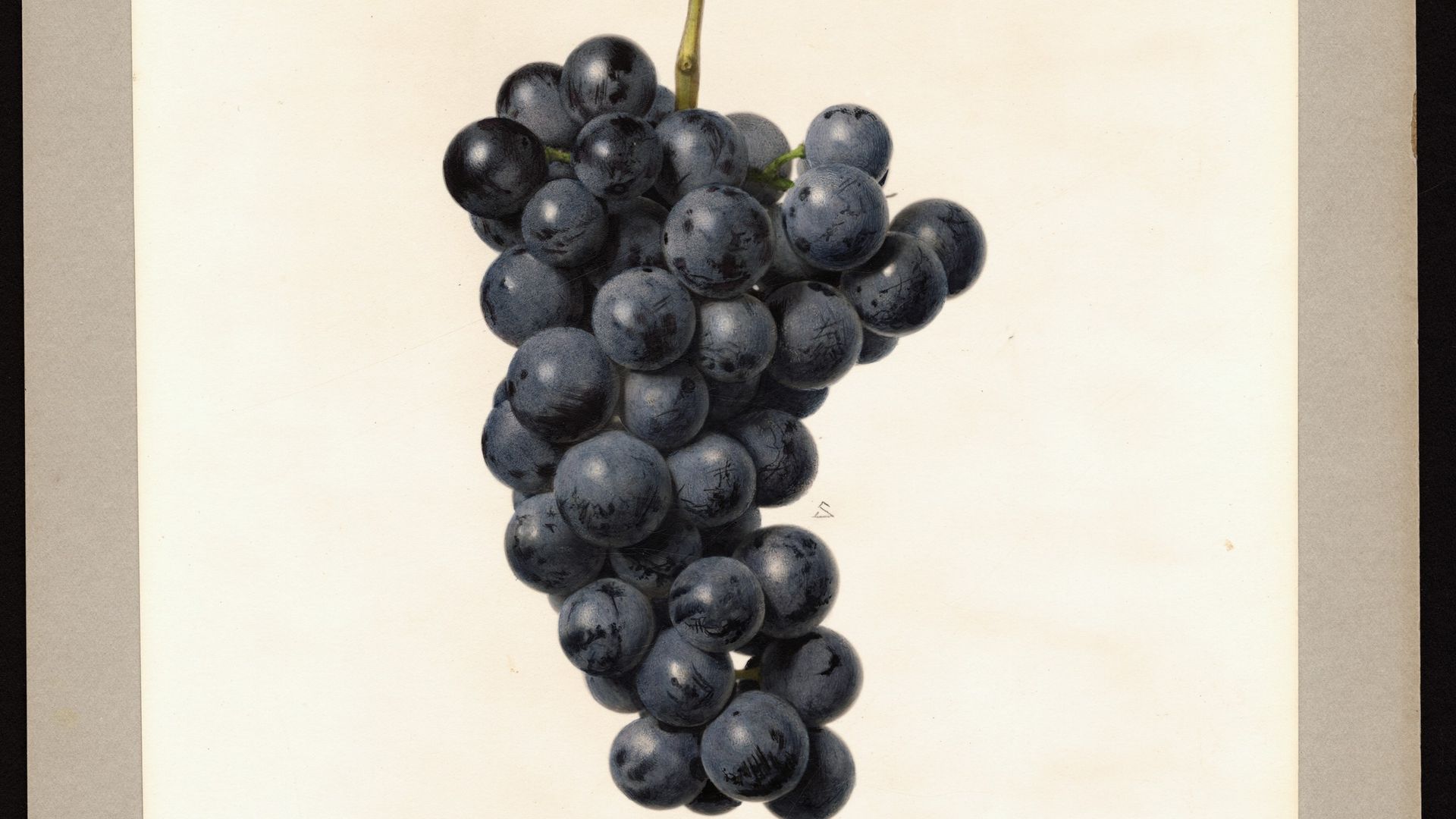 Concord